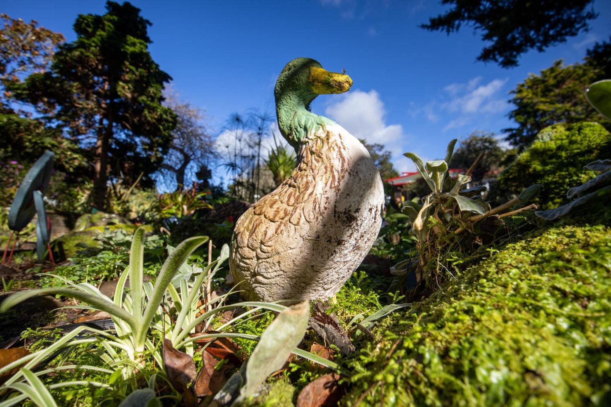 Waimoana Garden Accommodation ファンガレー エクステリア 写真